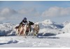 LIEN AMI : Les traîneaux de la Roche du Pic