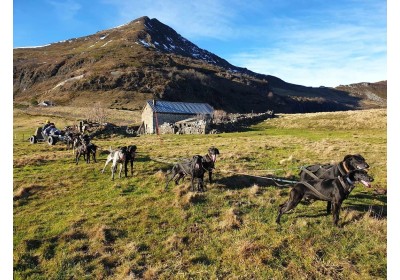 FRIENDLY LINK: The sleds of Roche du Pic