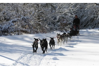 FRIENDLY LINK: The sleds of Roche du Pic