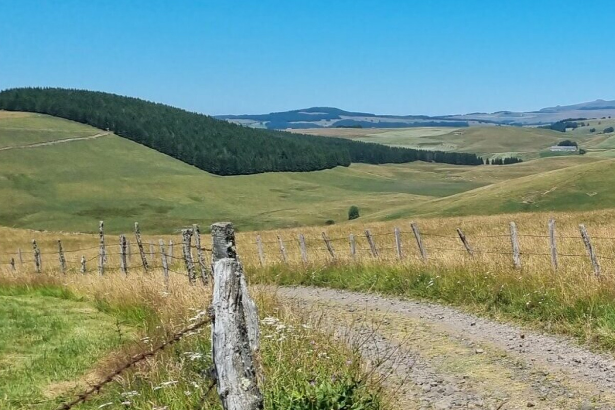 cantal_nature_tourbieres_2.jpg