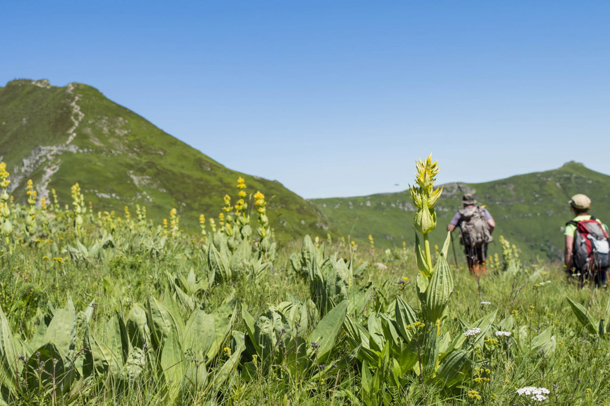 cantal_nature_departement_5.jpg