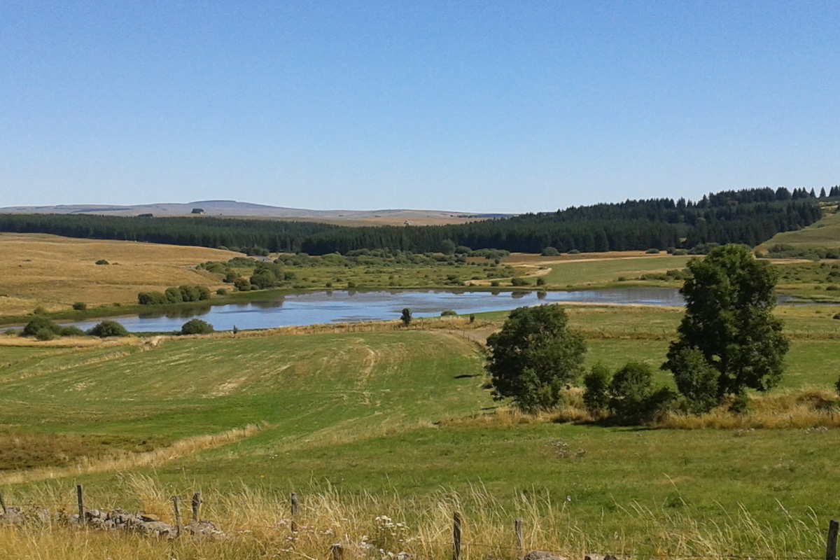 cantal_nature_tourbieres_2.jpg