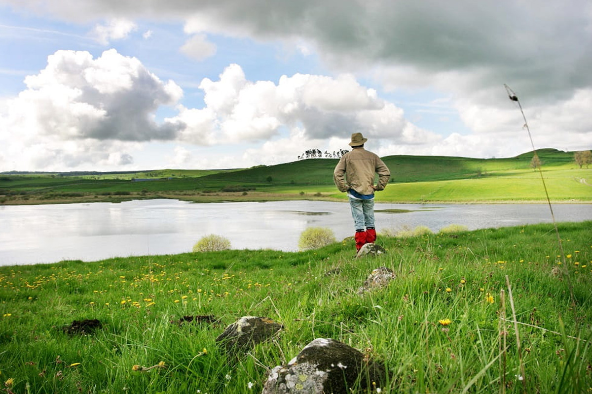 cantal_nature_tourbieres_3.jpg